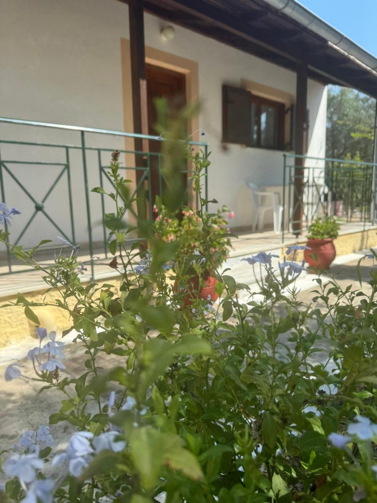 Studio Savvas Melíkia Kültér fotó