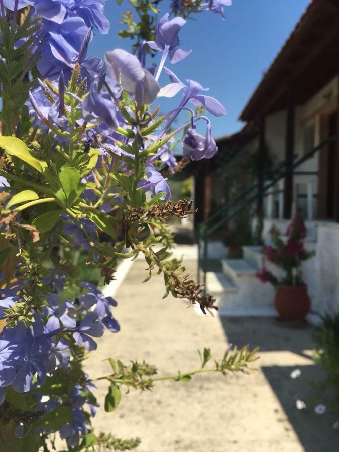 Studio Savvas Melíkia Kültér fotó